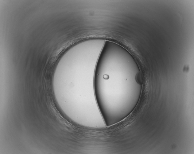 X0000115480681200911061025
