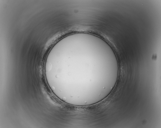 X0000115480682200911061025