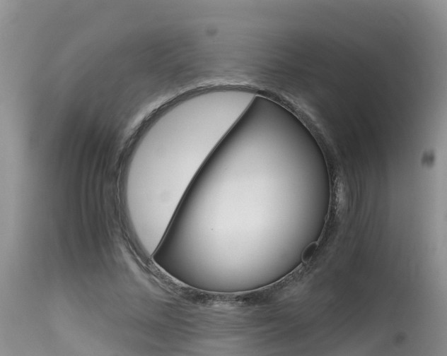 X0000115480684200911061025