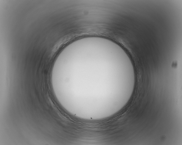 X0000115480685200911061025