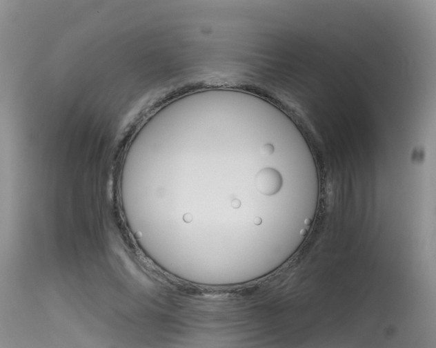 X0000115480686200911061025