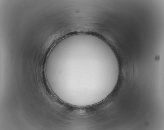 X0000115480687200911061025