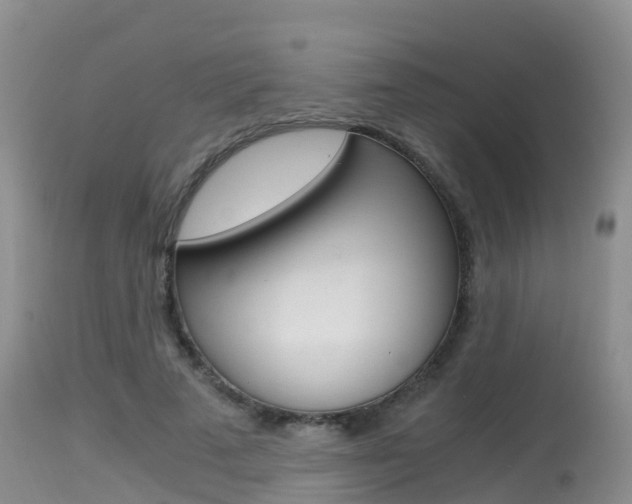 X0000115480689200911061025