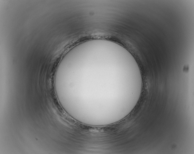 X0000115480690200911061025