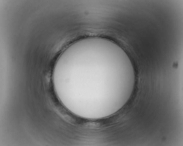 X0000115480691200911061025