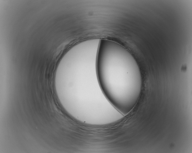 X0000115480693200911061025