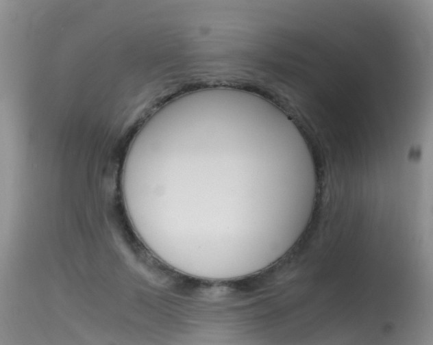 X0000115480695200911061025