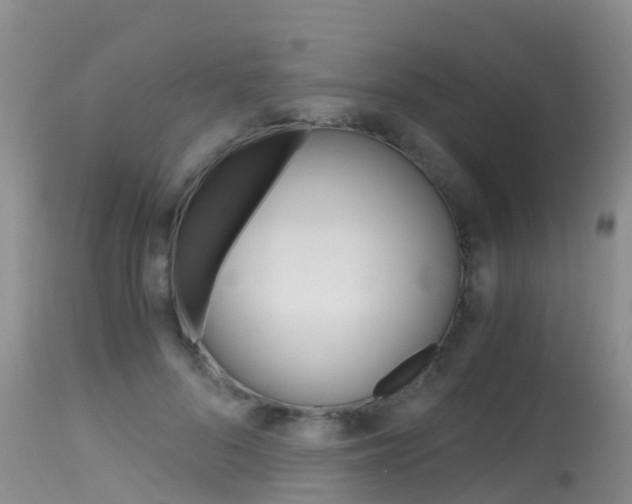 X0000115480696200911061025