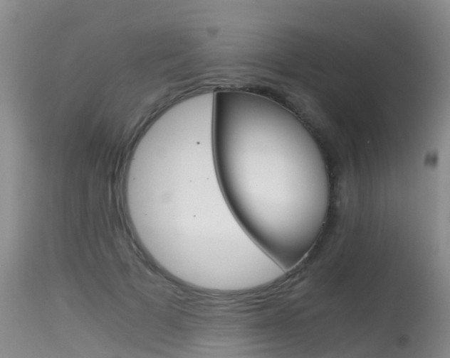 X0000115480697200911061025