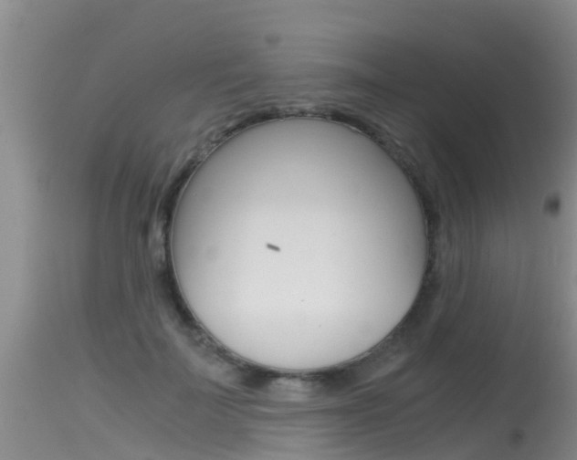 X0000115480699200911061025