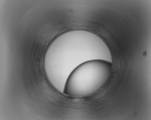 X0000115480700200911061025
