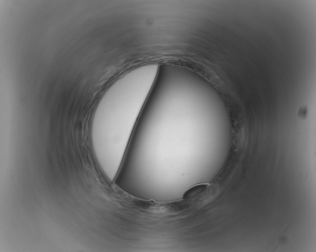 X0000115480704200911061025