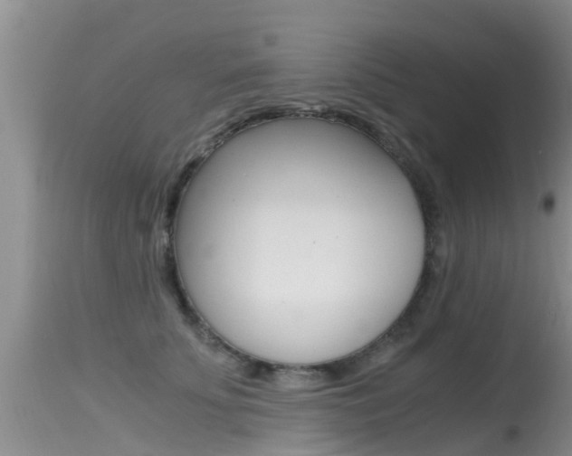 X0000115480707200911061025