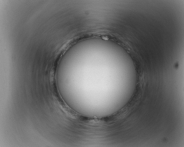 X0000115480708200911061025
