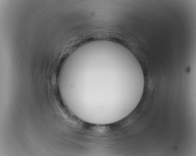 X0000115480711200911061025