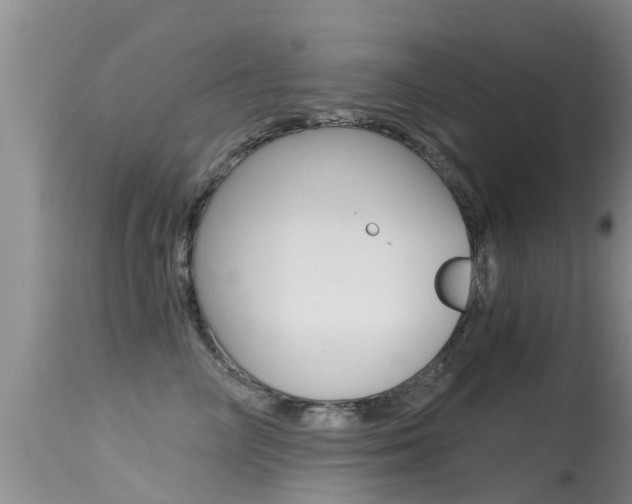 X0000115480714200911061025