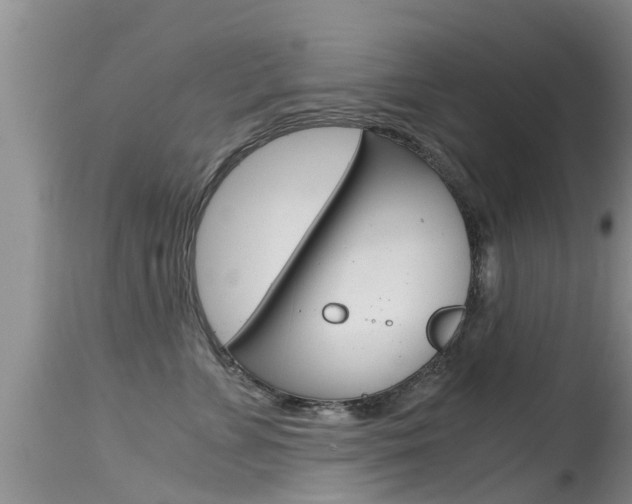 X0000115480715200911061025