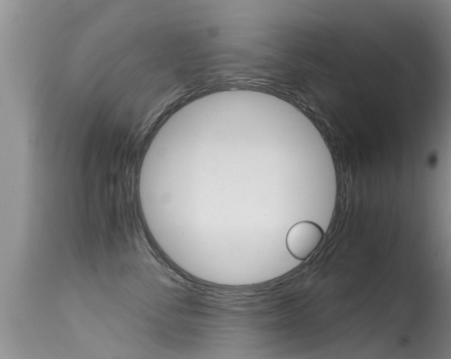 X0000115480716200911061025