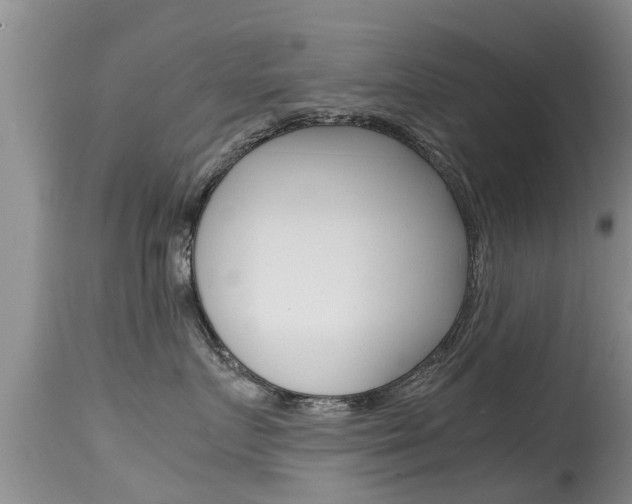 X0000115480719200911061025