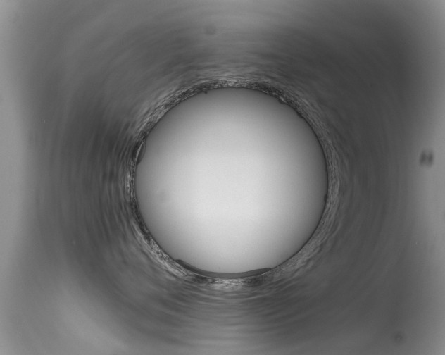 X0000115480720200911061025