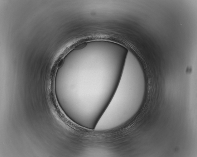 X0000115480726200911061024