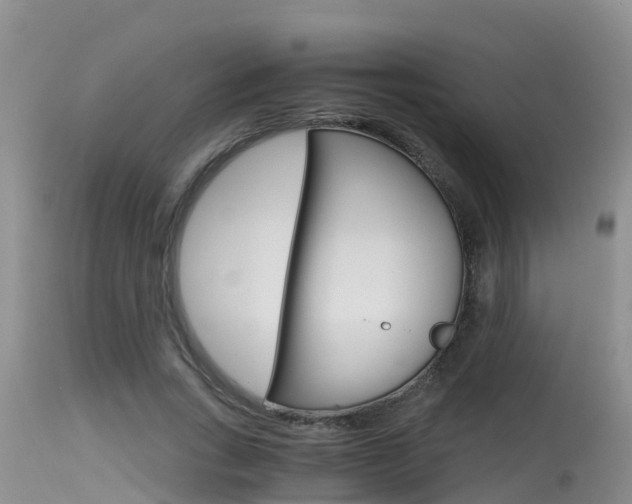 X0000115480735200911061024