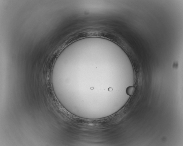 X0000115480737200911061024
