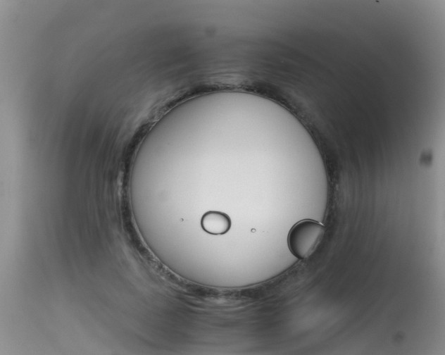 X0000115480739200911061024