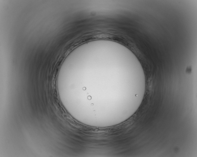 X0000115480741200911061024