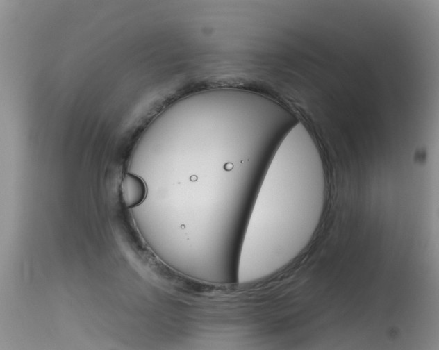 X0000115480742200911061024