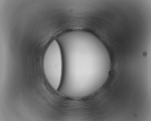 X0000115480743200911061024