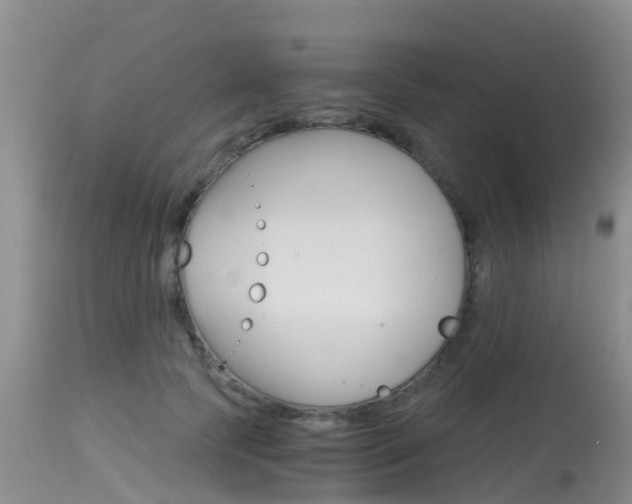 X0000115480745200911061024