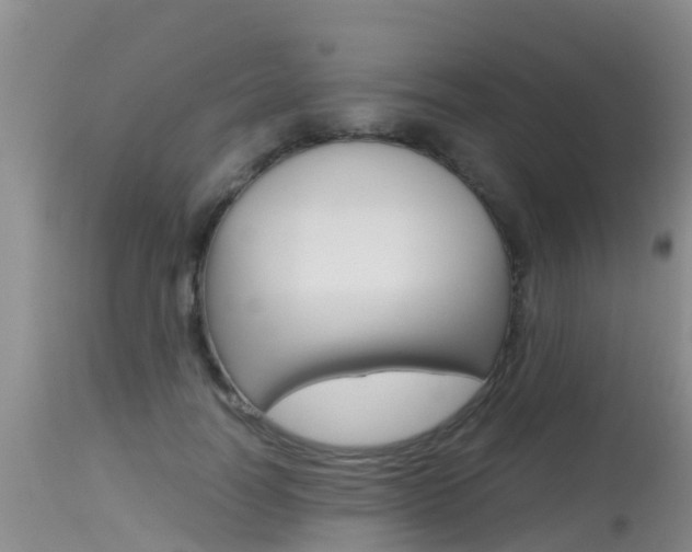 X0000115480746200911061024