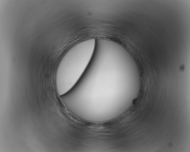X0000115480747200911061024