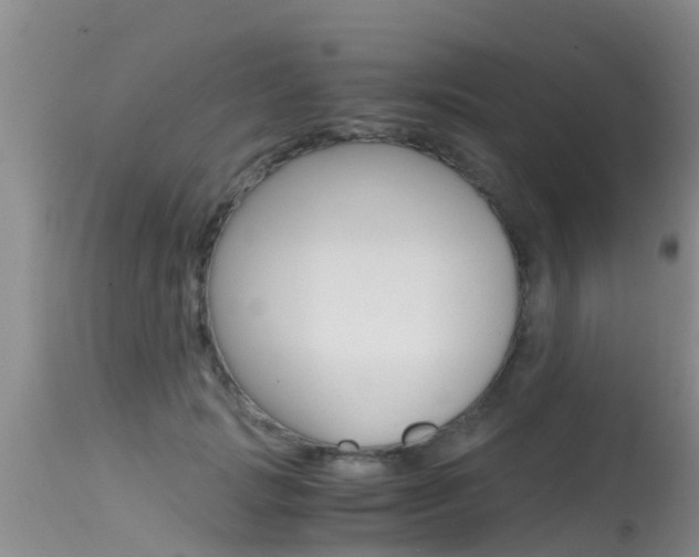 X0000115480749200911061024
