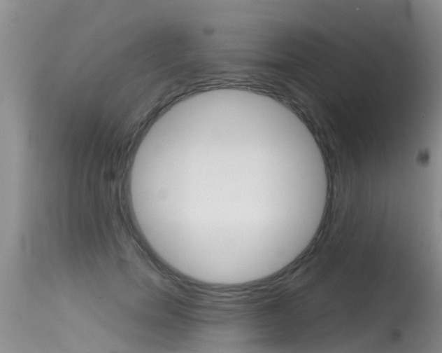 X0000115480750200911061024