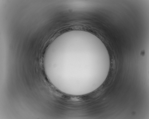 X0000115480753200911061024