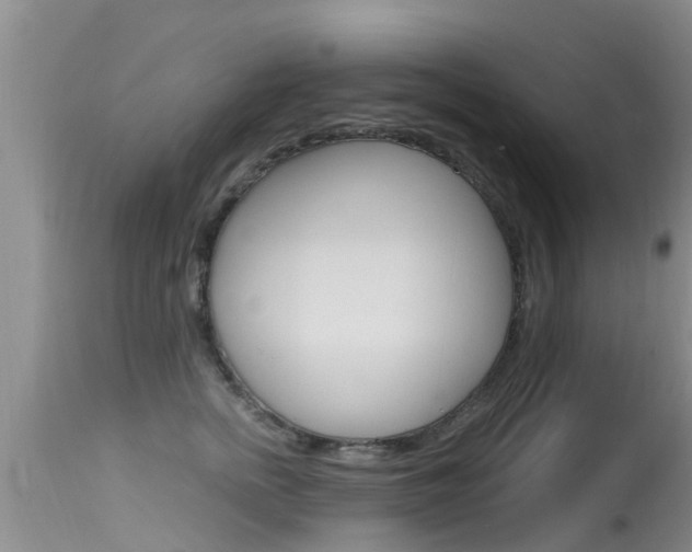 X0000115480758200911061024