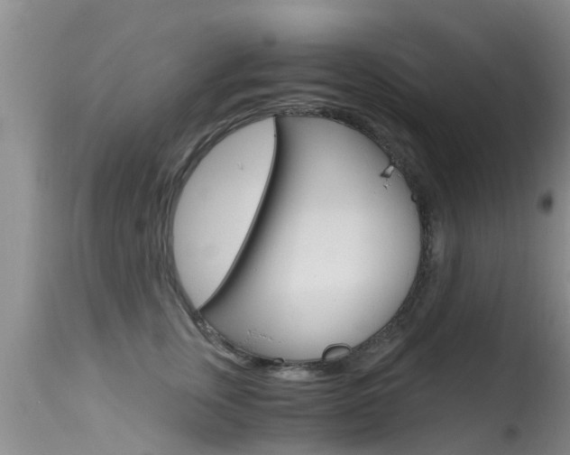 X0000115480759200911061024
