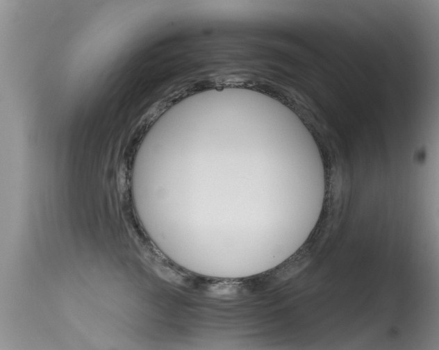 X0000115480761200911061024