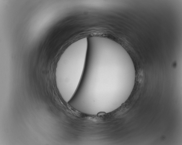 X0000115480763200911061024