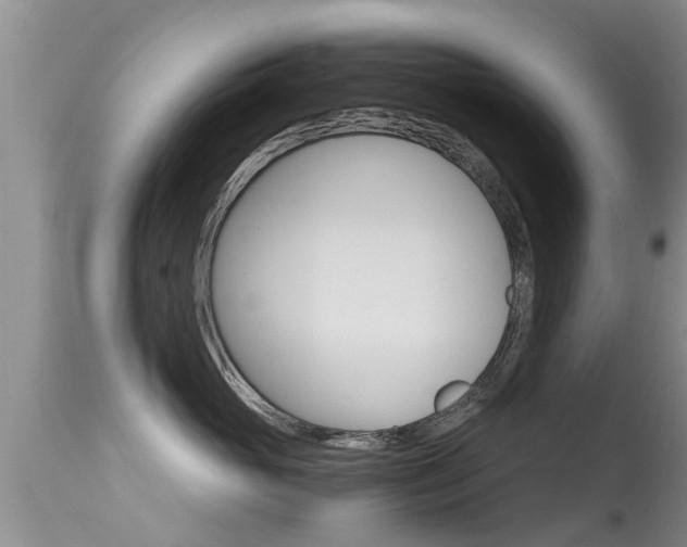 X0000115480765200911061025