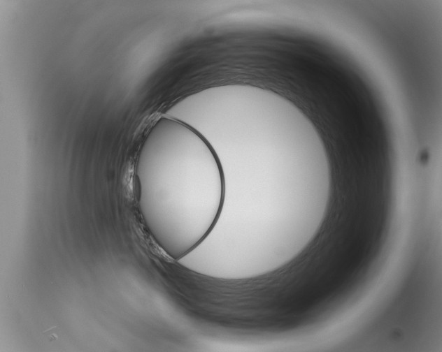 X0000115480766200911061025
