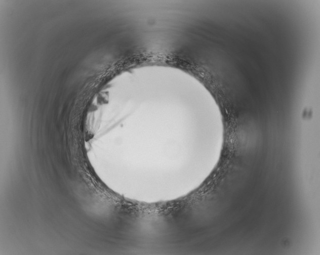 X0000115480769200911061024