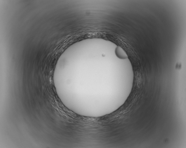 X0000115480770200911061024