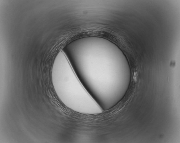 X0000115480771200911061024
