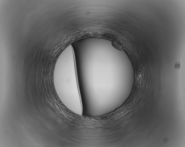 X0000115480772200911061024