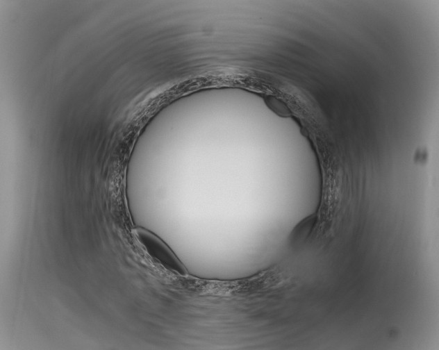 X0000115480773200911061024