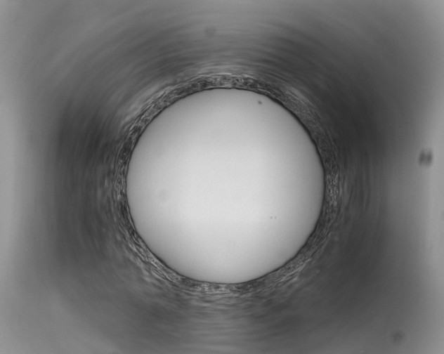 X0000115480774200911061024