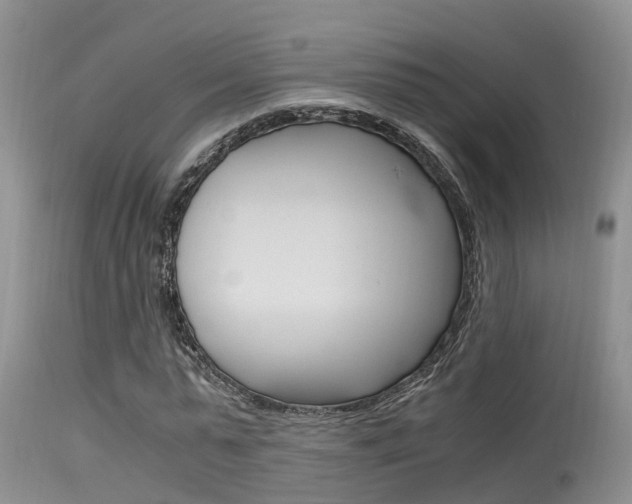 X0000115480775200911061024